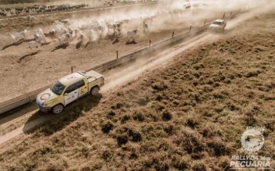 Rally da Pecuária vai percorrer regiões de Barra do Garças, Ribeirão Cascalheira e Vila Rica