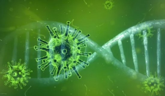 Ocupação de leitos de UTI para Covid-19 está em 100%, segundo SES-MT