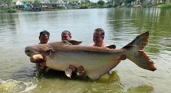 Turista pesca bagre gigantesco de 200 kg após luta intensa de 1h30: 'Teste de resistência'