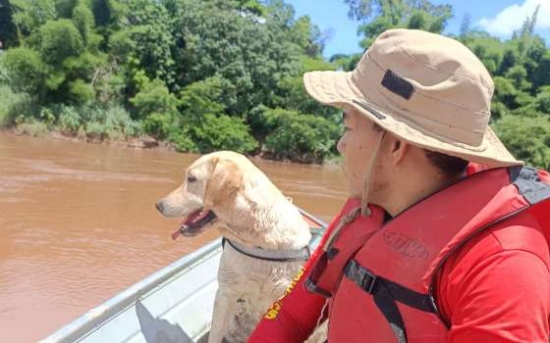 Vídeo: Bombeiros montam força-tarefa em buscas por médico; cães treinados auxiliam trabalhos