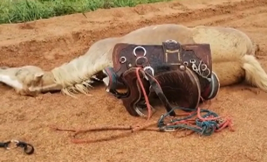 Menino fica ferido e égua morre após serem atingidos por raio enquanto cavalgavam por fazenda de Goiás