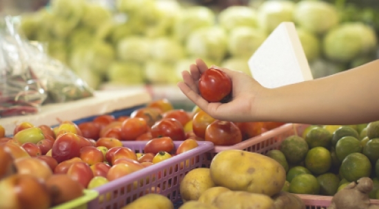 Cesta básica apresenta leve aumento na última semana de fevereiro