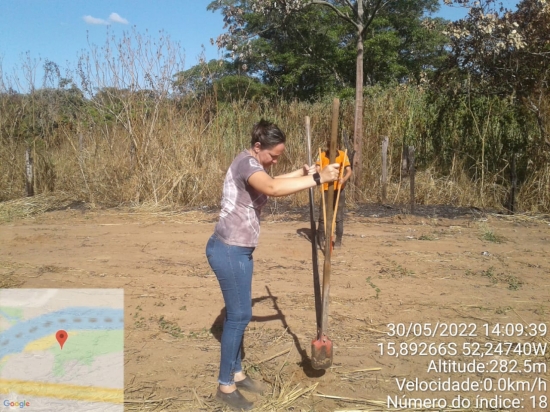 ARAGARÇAS DESENVOLVE AÇÕES DE REFLORESTAMENTO