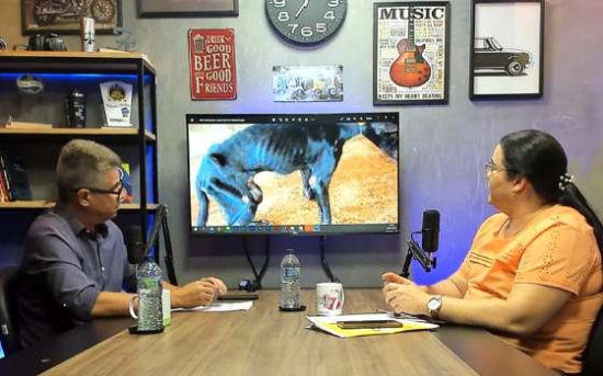 Médica veterinária diz que casos de leishmaniose em Barra do Garças assustam; vídeo