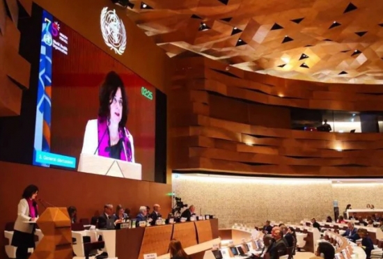 Na OMS, ministra da Saúde alerta para novas crises sanitárias mundiais