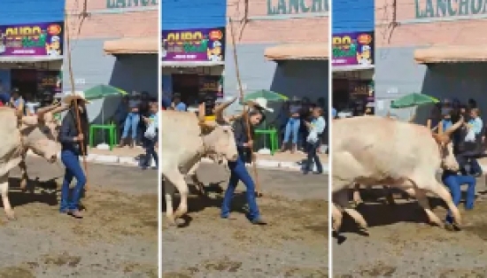 Mulher fica ferida após ser atacada por boi durante desfile
