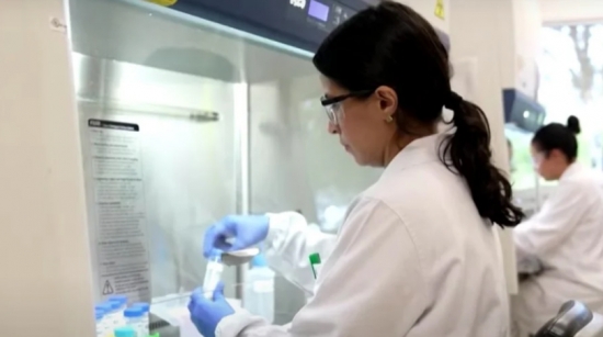 'Gripe aviária pode desencadear pandemia igual à da Covid', diz médica