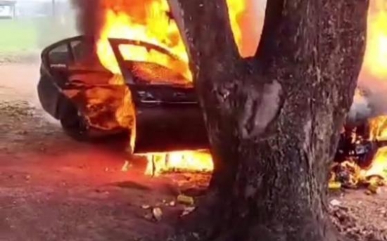 Homem tenta queimar abelhas e destrói BMW em MT