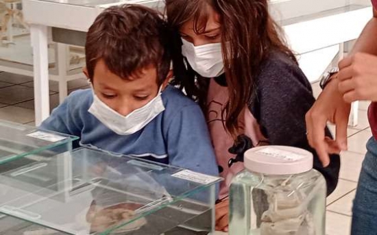 Museu de História Natural do Araguaia recebe visitantes e turistas neste sábado (18)