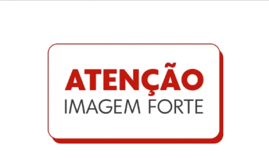 Tutor é preso por maus-tratos após negar atendimento veterinário para cadela com a boca dilacerada em MT