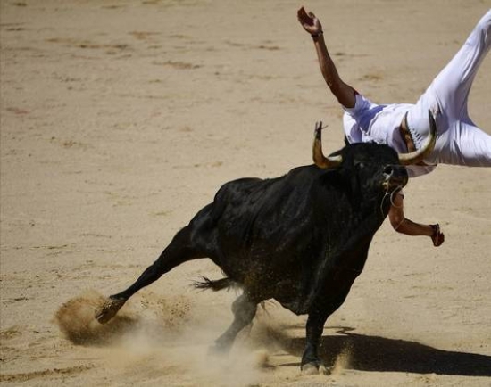 Trauma no crânio e lesão na região genital: veja flagras de chifradas de touro em festa tradicional polêmica
