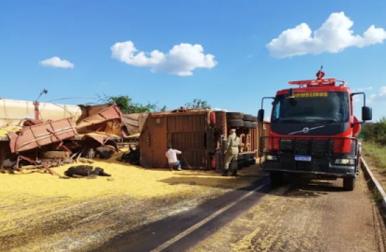 Mais de 20 bois morrem após carreta tombar na BR-158 em MT