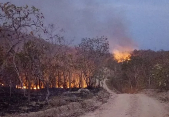 Suspeito é preso por manter 4 pessoas em cativeiro e incendiar floresta após não receber carona em Cuiabá