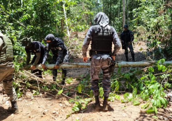 Operação apreende caminhões de prefeitura por envolvimento em crimes ambientais em fazenda de MT