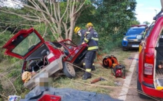 Condutora morre e criança fica ferida após carro sair da pista e bater em árvore