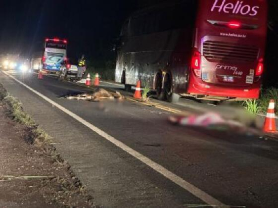 Casal morre após bater moto em bezerro e ser atropelado por caminhão em MT