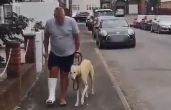 Após ida ao veterinário, descobre-se: cão mancava para imitar dono