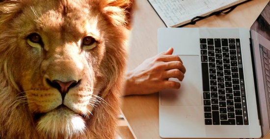 Governo Federal amplia faixa de isenção do imposto de renda em 2 salários mínimos