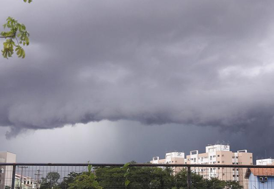 Alerta amarelo: MT inicia março com chuva forte e queda de árvores