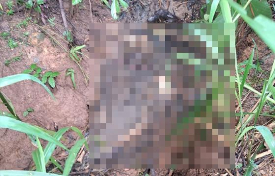 Corpo em estado de decomposição é encontrado em gruta em Barra do Garças