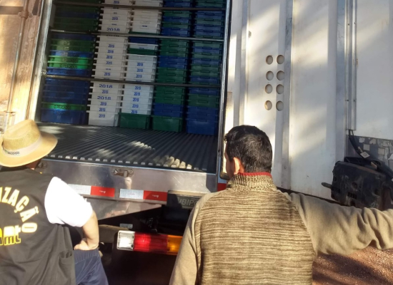 Indea intensifica fiscalização do transporte de pescado em rodovias estaduais
