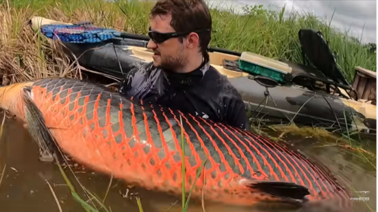 Pescador enfrenta batalha épica com gigantesco Pirarucu de 130 kg