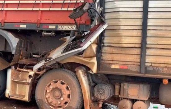 Caminhoneiro morre após colisão com carreta que transportava gado em Canarana