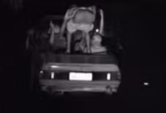 Homem mostra as nádegas para o radar e cena fica registrada em multa por alta velocidade 