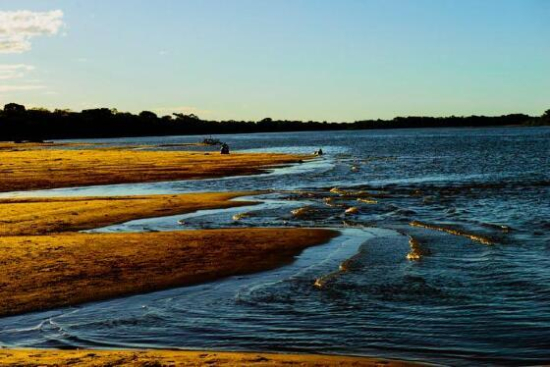 Primeira etapa de programa da Sema irá recuperar 212 hectares de áreas de conservação e parques