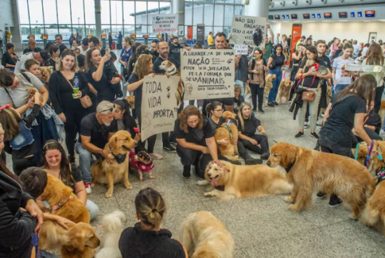 Após morte de Joca, tutores de cachorros fazem manifestações em aeroportos do país