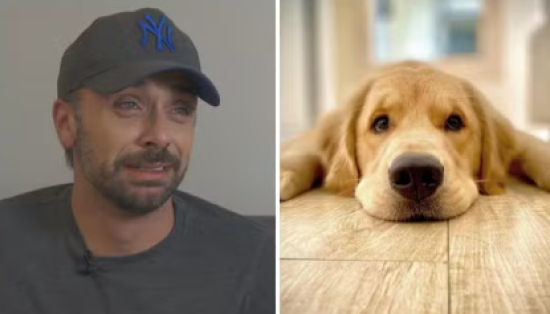 Caso Joca: Defensoria Pública de MT pede indenização de R$ 10 milhões e suspensão de transportes de animais à Gol