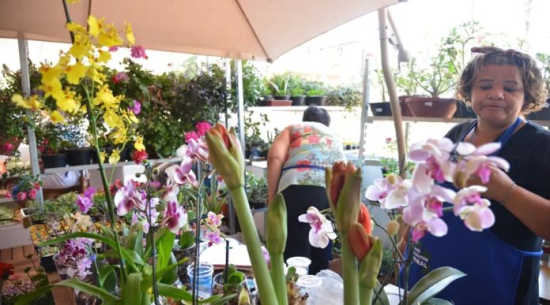 Desenrola para MEI e micro e pequenas empresas começa nesta segunda