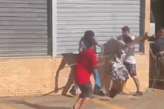 Paquera de namorada vira briga com troca de pauladas entre adolescentes