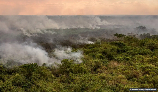 Pantanal poderá ter crise hídrica histórica em 2024, aponta estudo