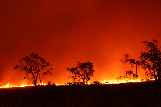 Queimadas no cerrado estão proibidas até 30 de novembro