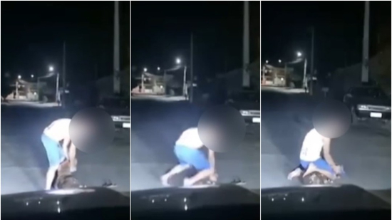Imagem mostra quando homem dá socos no rosto de pitbull como 'castigo'