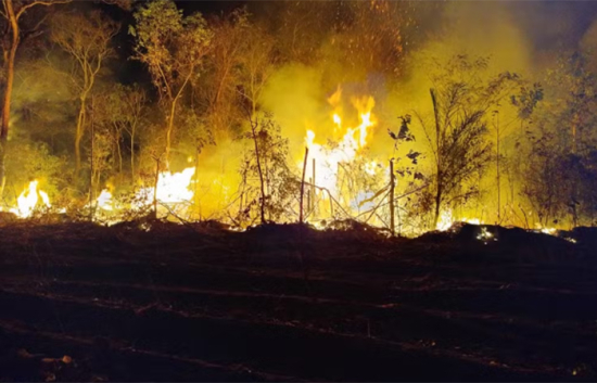 Incêndio atinge território indígena no Pantanal de MT