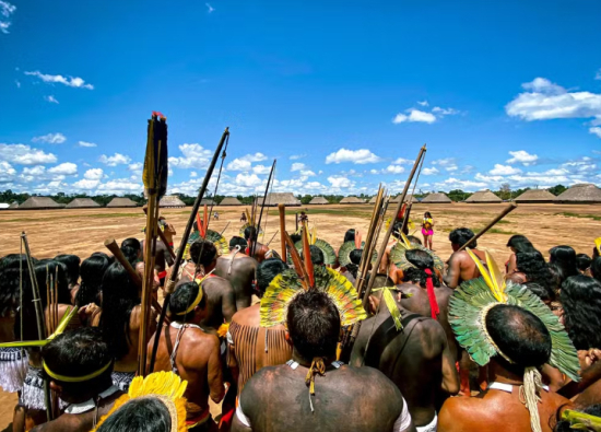 Territórios em risco: como queimadas e invasões aumentam casos de transtornos psiquiátricos em áreas isoladas