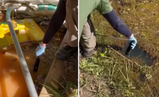 Surto de diarreia aguda em Goiás: saiba o que é e como tratar doença