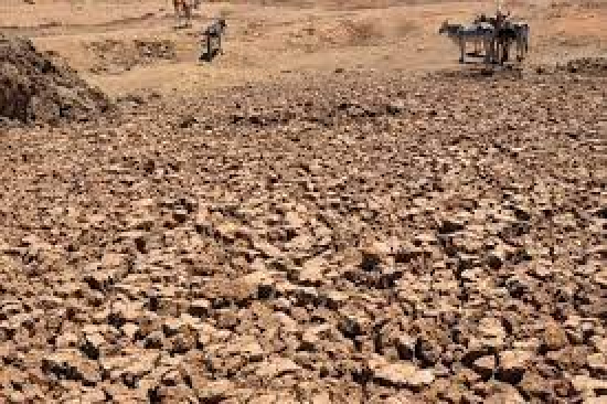  Mato Grosso enfrenta a pior seca em 44 Anos: 36 municípios decretam situação de emergência