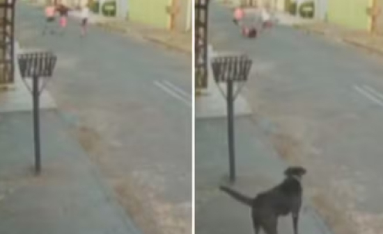 Ladrão é espancado após tentar roubar mulher em rua 
