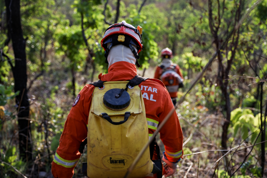 Bombeiros de MT extinguem incêndio no Parque Serra Azul e combatem outros 41 