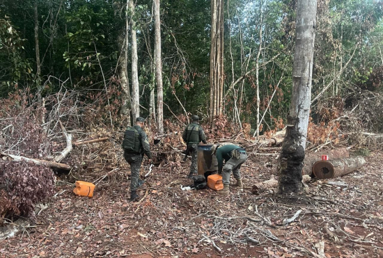 Operação Caliandra II combate crimes ambientais e aplica R$ 4 milhões em multas no Mato Grosso