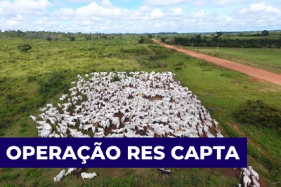  MPF denuncia 27 pessoas por corrupção, associação criminosa e crimes ambientais