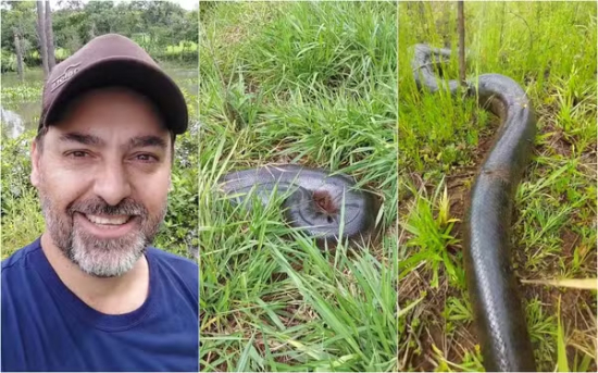 Dono de pesque-pague se surpreende ao encontrar sucuri gigante em represa 