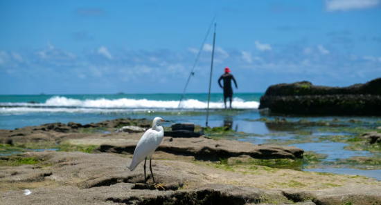  Governo federal investe R$ 63,6 milhões para impulsionar turismo internacional em 2025