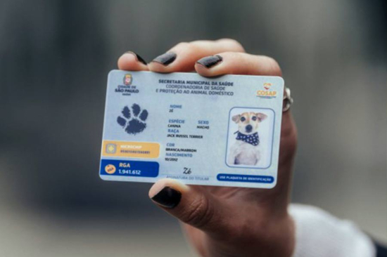 Cadastro Nacional de Animais Domésticos é sancionado e será lançado em janeiro