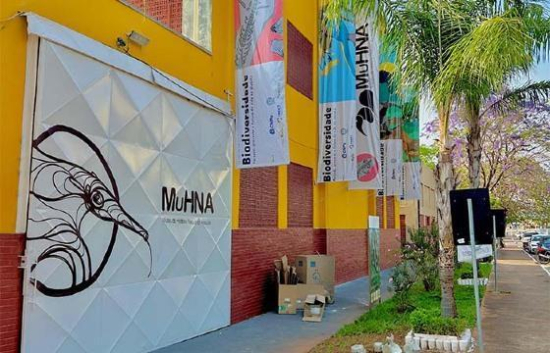 Cinema e jogos atraem visitantes para Museu da UFMT Araguaia