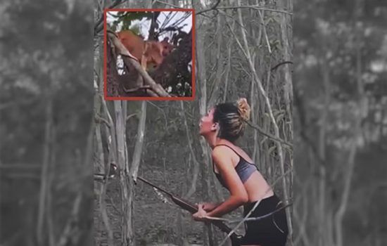 Mulher que matou onça-parda pode ser presa e recebe multas do Ibama