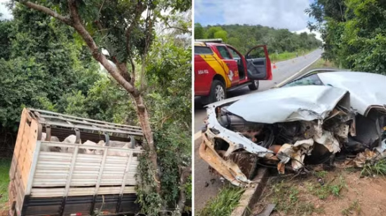 Acidente entre carro e caminhão carregado com gado deixa três mortos na GO-020
